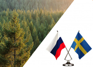 Возможности лесных климатических проектов обсудили на российско-шведской видеоконференции новости фото